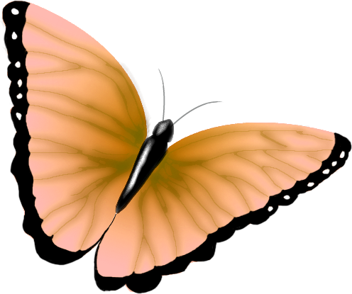 clipart_butterfly